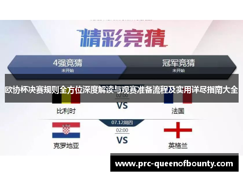 欧协杯决赛规则全方位深度解读与观赛准备流程及实用详尽指南大全