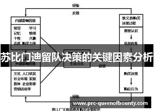 苏比门迪留队决策的关键因素分析 苏比门迪留队决策的关键因素分析