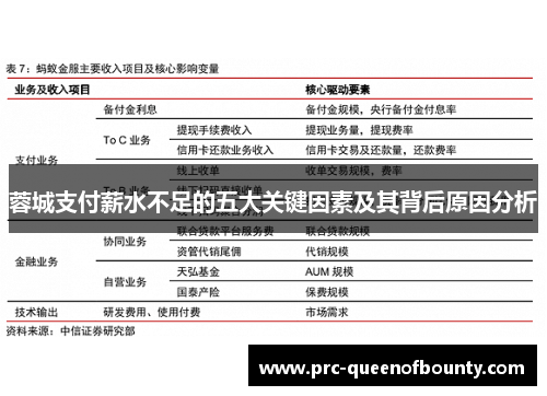 蓉城支付薪水不足的五大关键因素及其背后原因分析