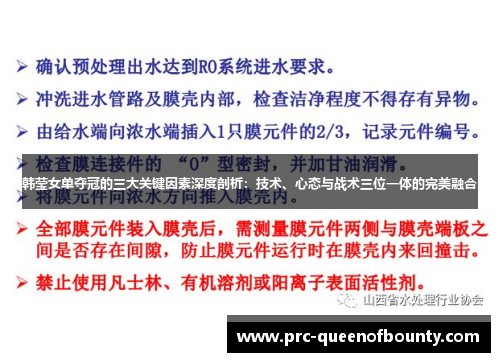 韩莹女单夺冠的三大关键因素深度剖析：技术、心态与战术三位一体的完美融合