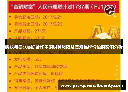 骁龙与曼联赞助合作中的财务风险及其对品牌价值的影响分析