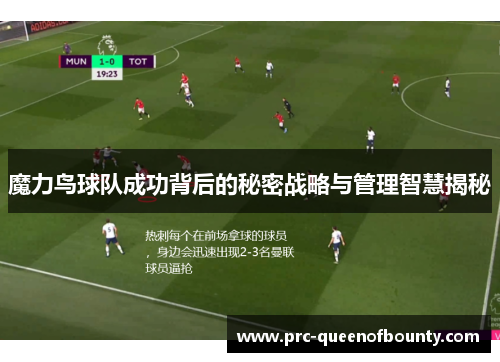 魔力鸟球队成功背后的秘密战略与管理智慧揭秘